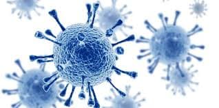 Illustration of HIV virus cells